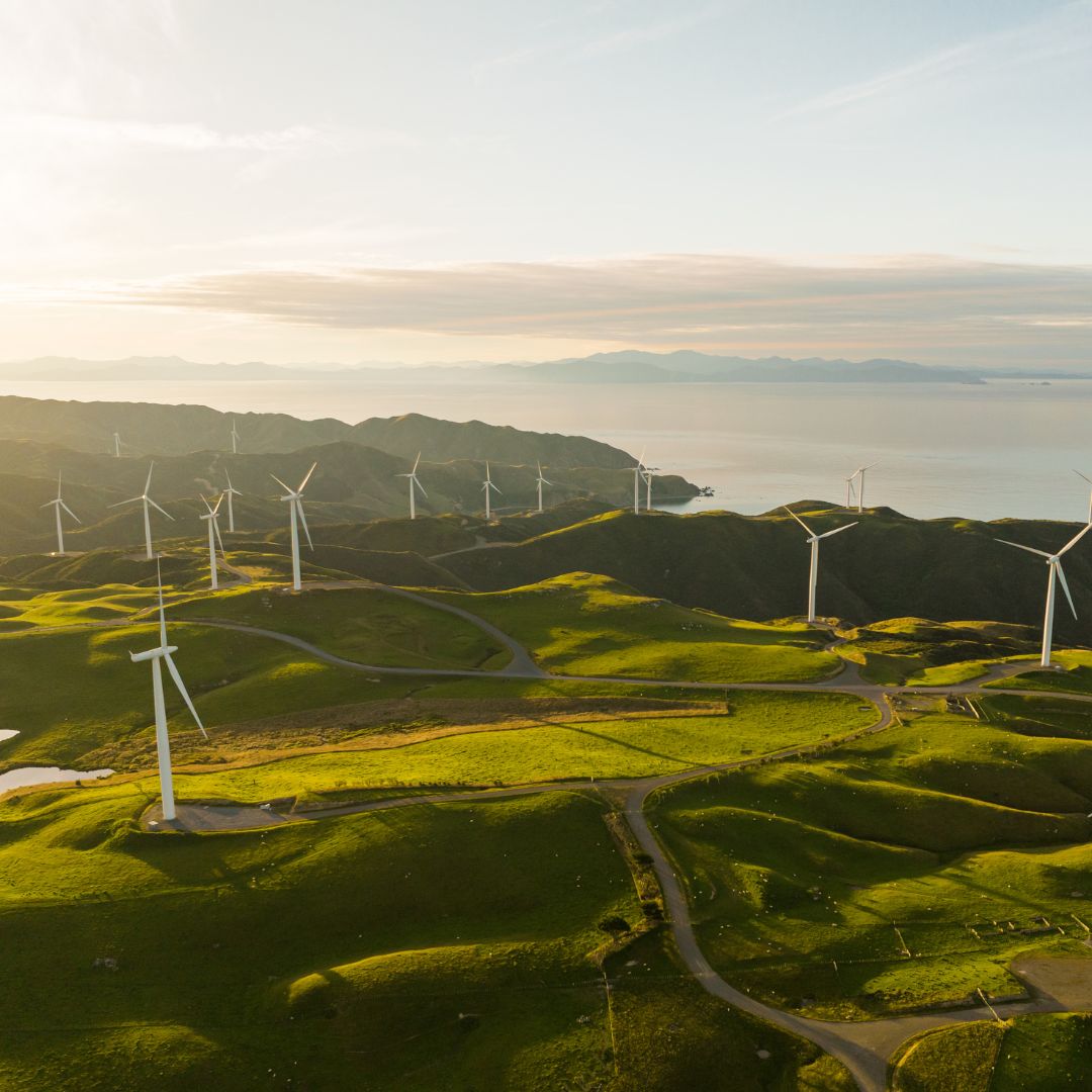 Creating Sustainable Washroom Spaces: The BioCarbon Laminates Revolution